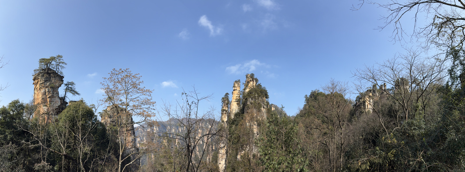 Picture China Zhangjiajie Tianzi Mountrain 2026-01 215 - Pictures Tianzi Mountrain