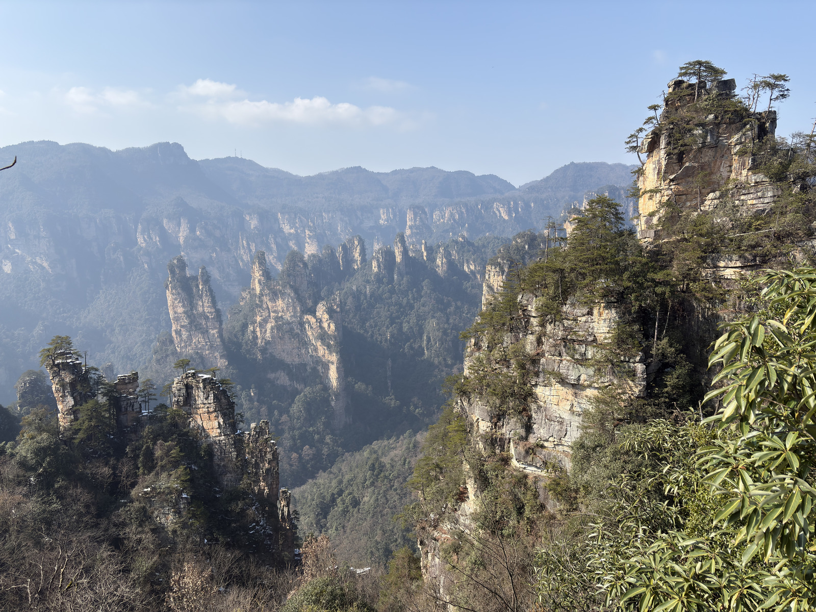 Picture China Zhangjiajie Tianzi Mountrain 2026-01 307 - Sightseeing Tianzi Mountrain