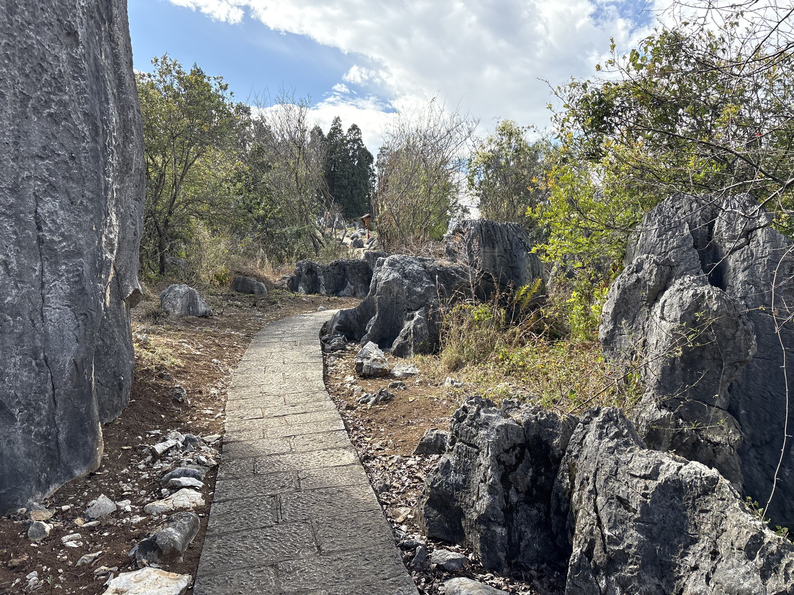 Picture China Shilin Stone Forest 2026-01 33 - Trips Shilin Stone Forest