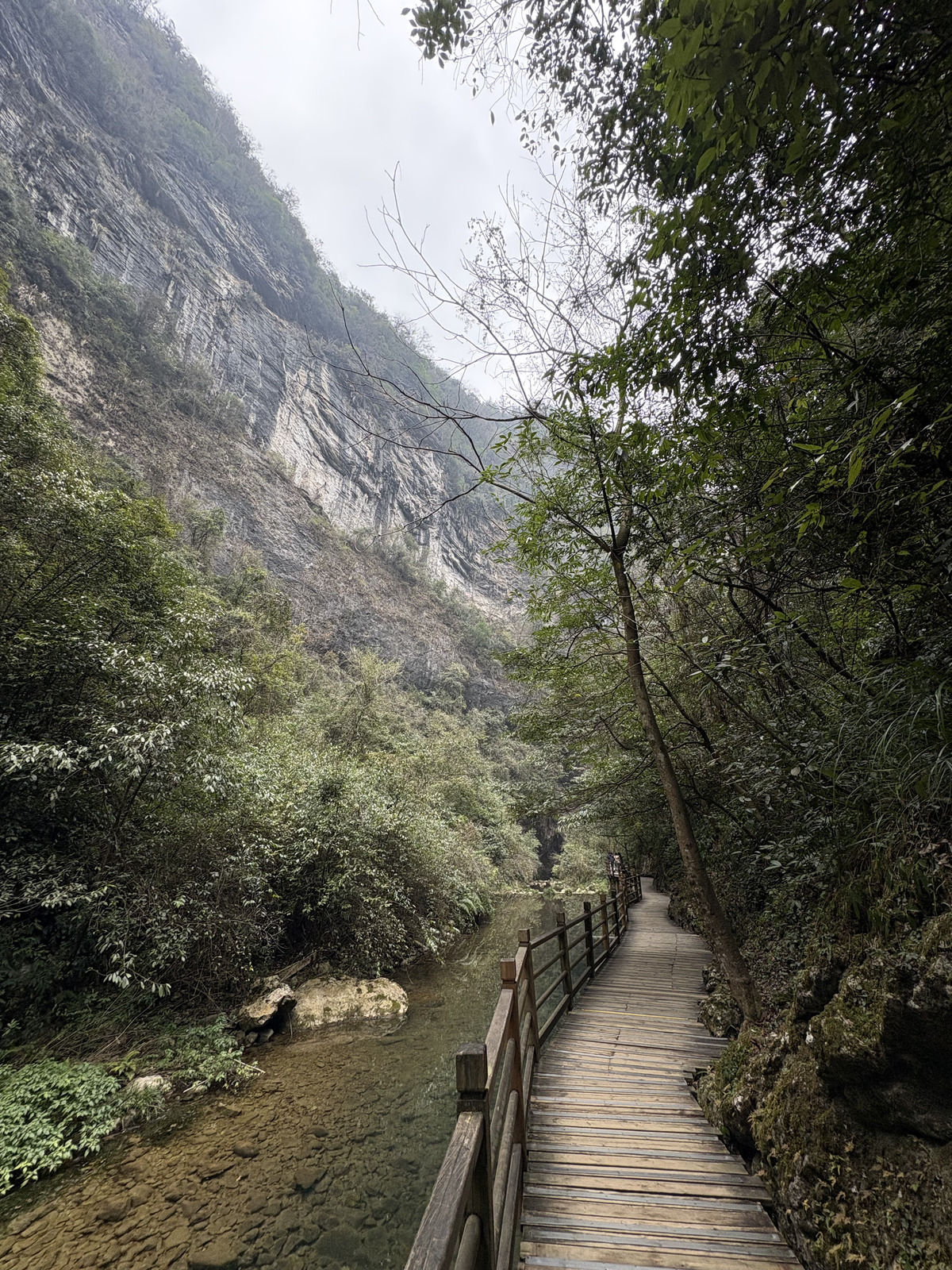 Picture China Zhangjiajie Grand Canion 2026-01 5 - Trips Grand Canion