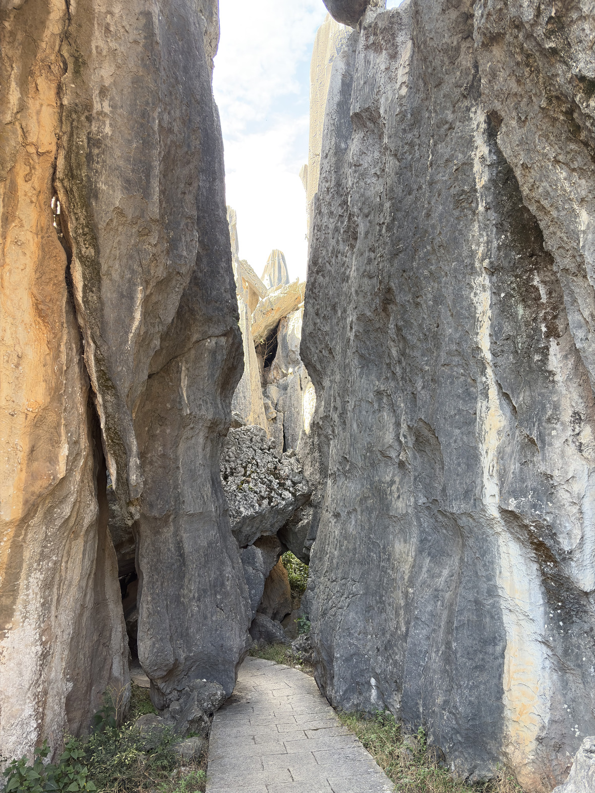 Picture China Shilin Stone Forest 2026-01 98 - View Shilin Stone Forest