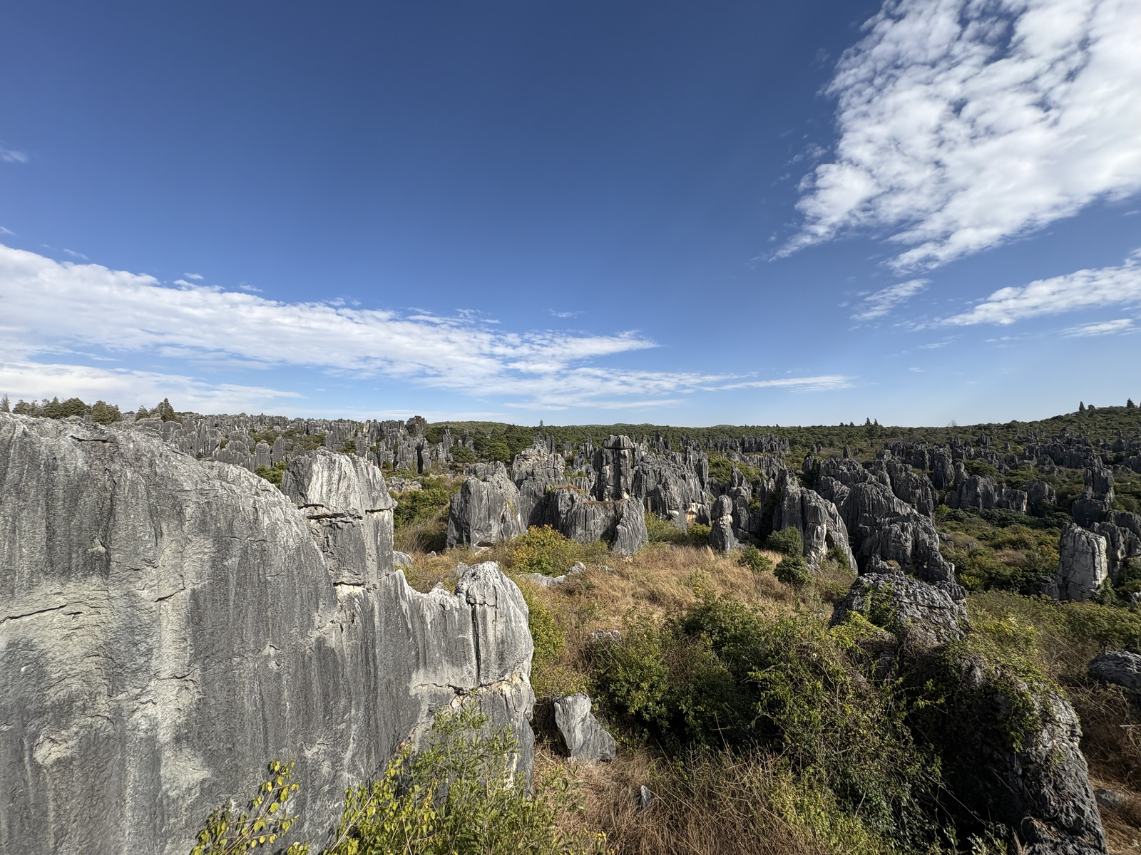 Picture China Shilin Stone Forest 2026-01 15 - Photographer Shilin Stone Forest