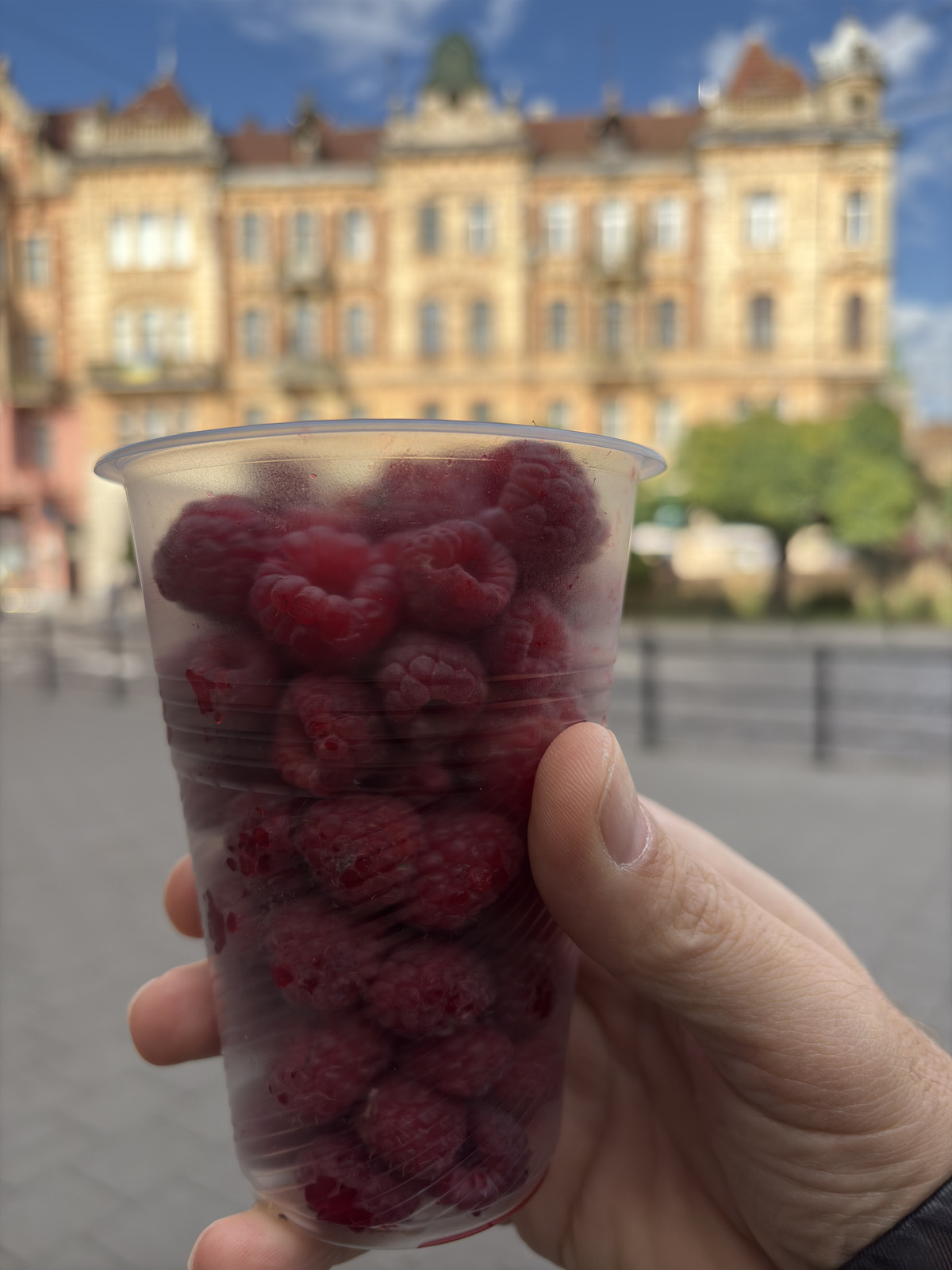 Picture Ukraine Lviv Restaurants 2024-10 156 - Road Map Restaurants