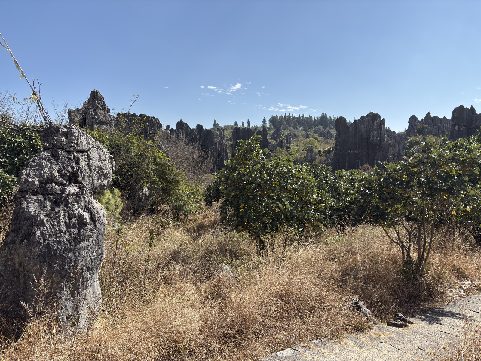 Picture China Shilin Stone Forest 2026-01 242 - Sight Shilin Stone Forest
