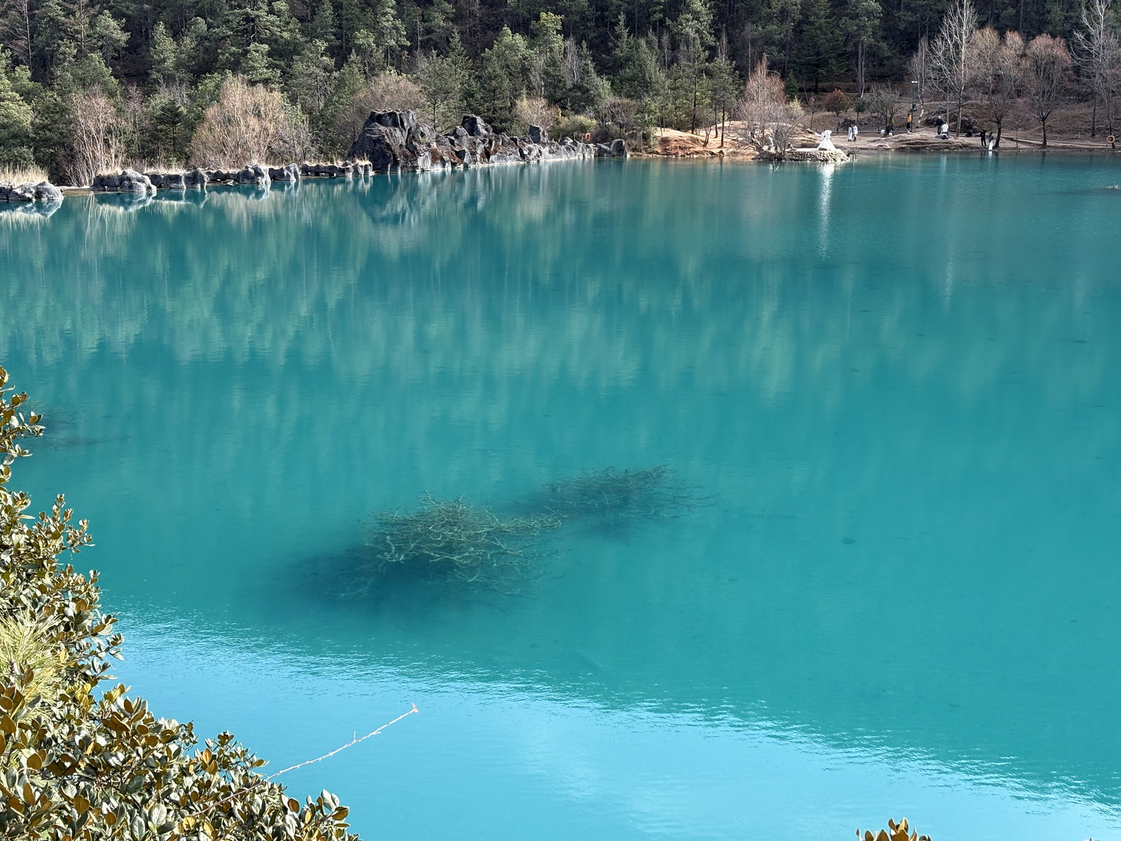 Picture China Lijiang Blue moon valley 2026-01 79 - Photos Blue moon valley