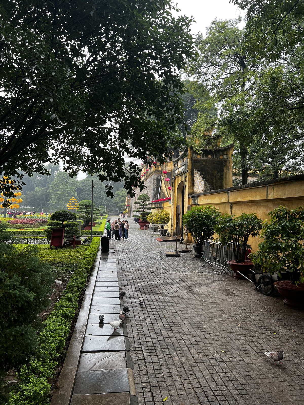 Picture Vietnam Hanoi Thang Long Citadel 2024-01 5 - Tourist Attraction Thang Long Citadel