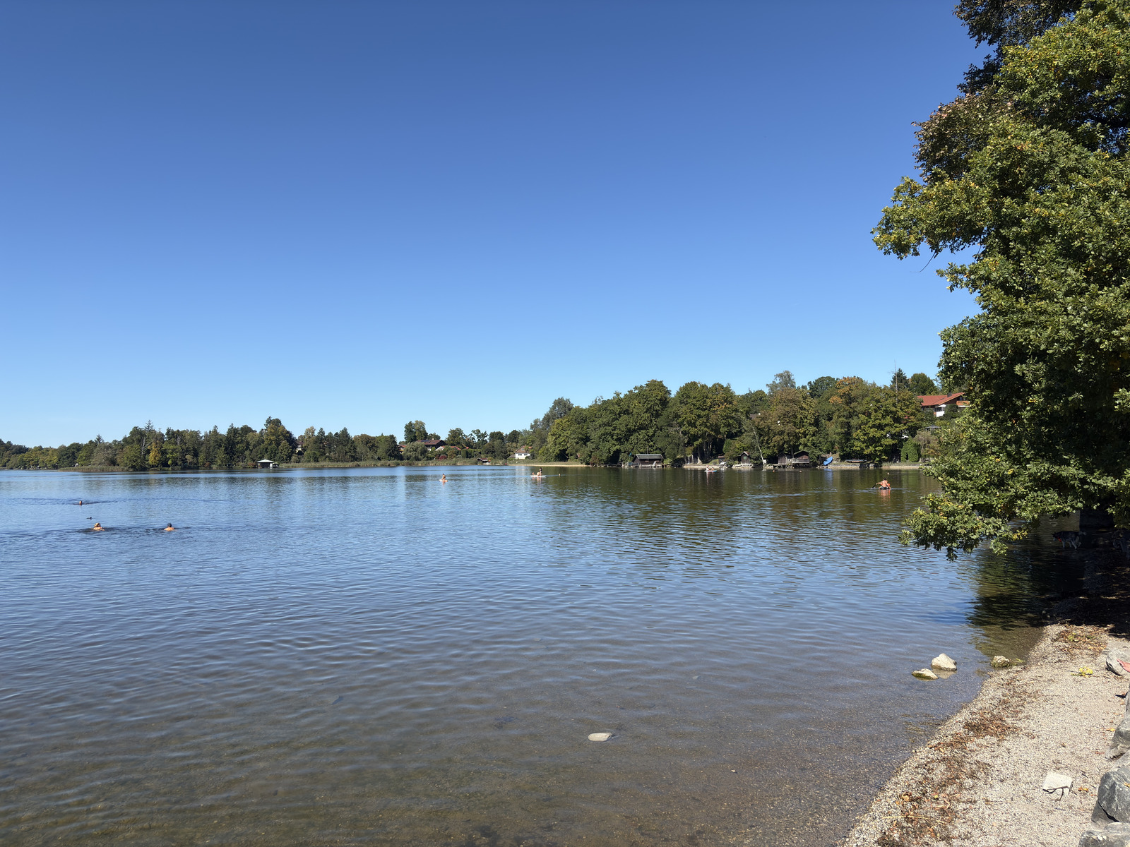 Picture Germany Staffelsee lake 2025-09 3 - View Staffelsee lake