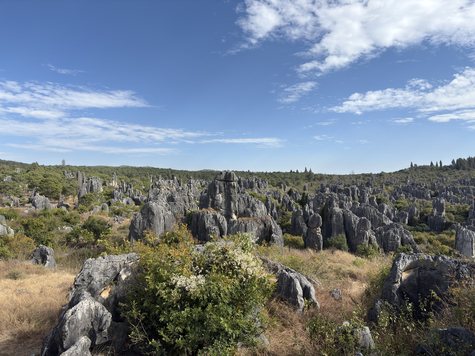 Picture China Shilin Stone Forest 2026-01 311 - View Shilin Stone Forest