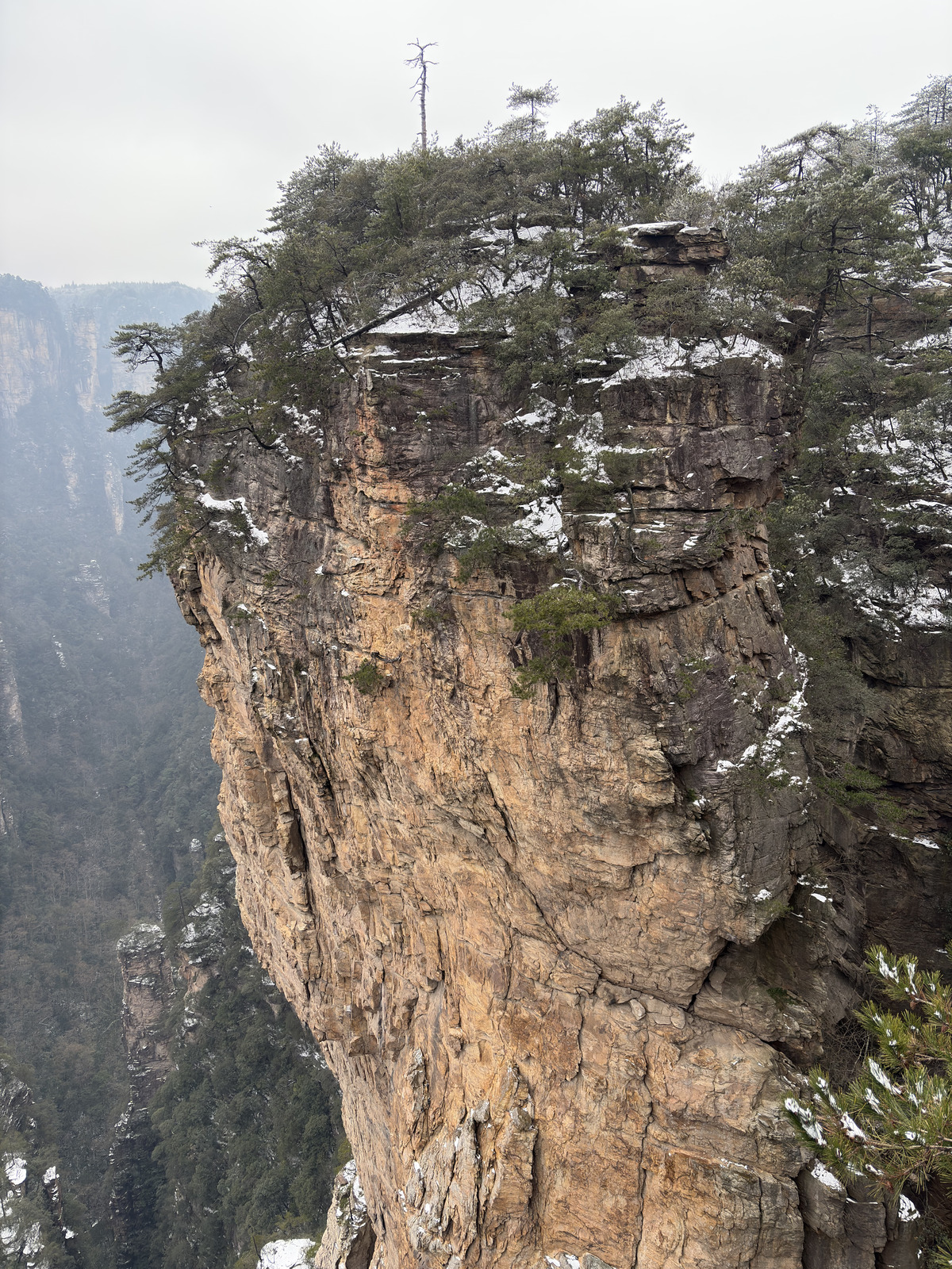 Picture China Zhangjiajie 2026-01 131 - Photographer Zhangjiajie