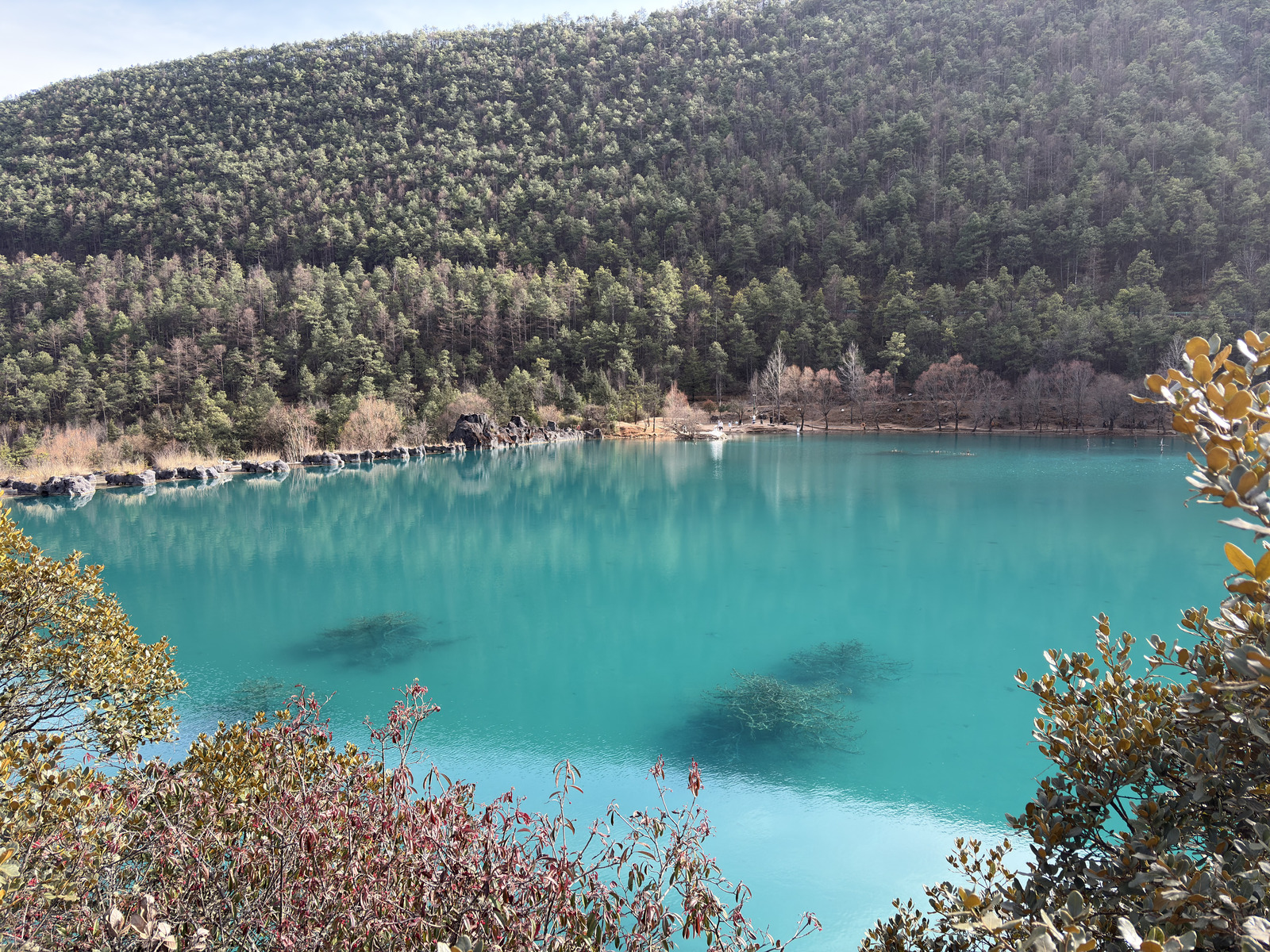 Picture China Lijiang Blue moon valley 2026-01 112 - Pictures Blue moon valley