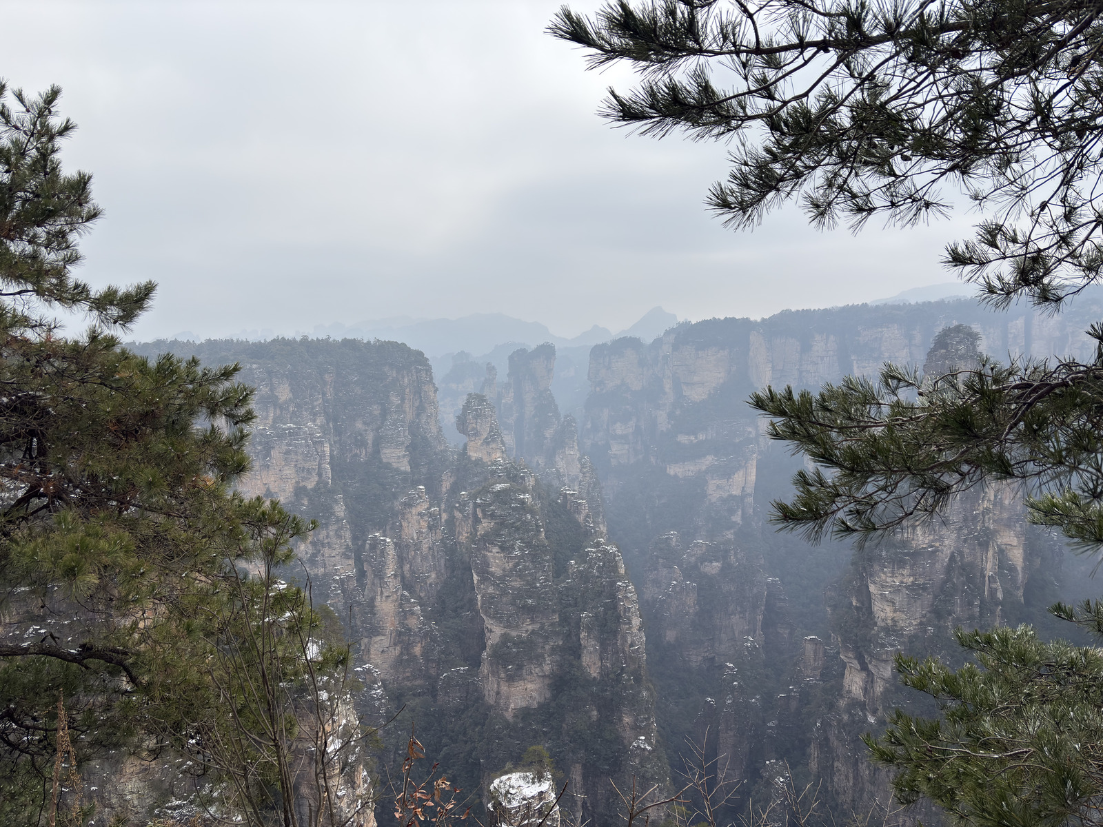 Picture China Zhangjiajie 2026-01 13 - Photographer Zhangjiajie