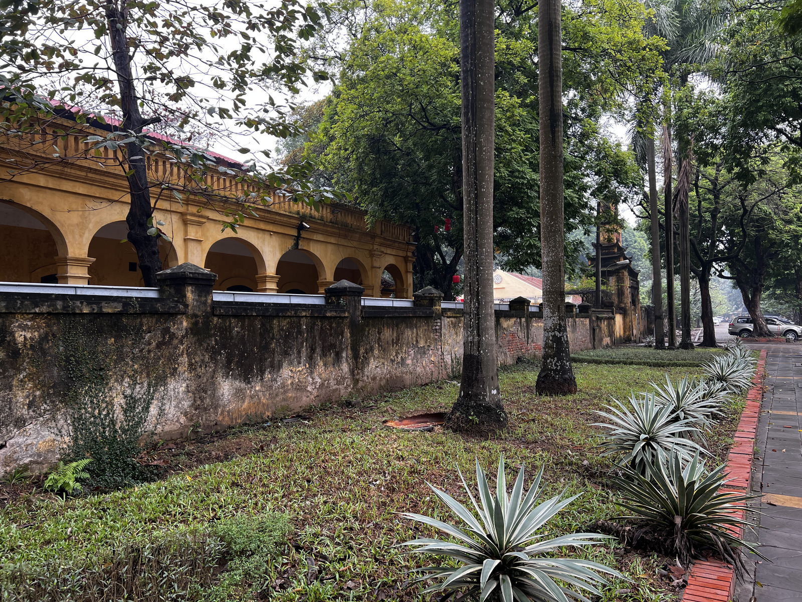 Picture Vietnam Hanoi Thang Long Citadel 2024-01 20 - Picture Thang Long Citadel