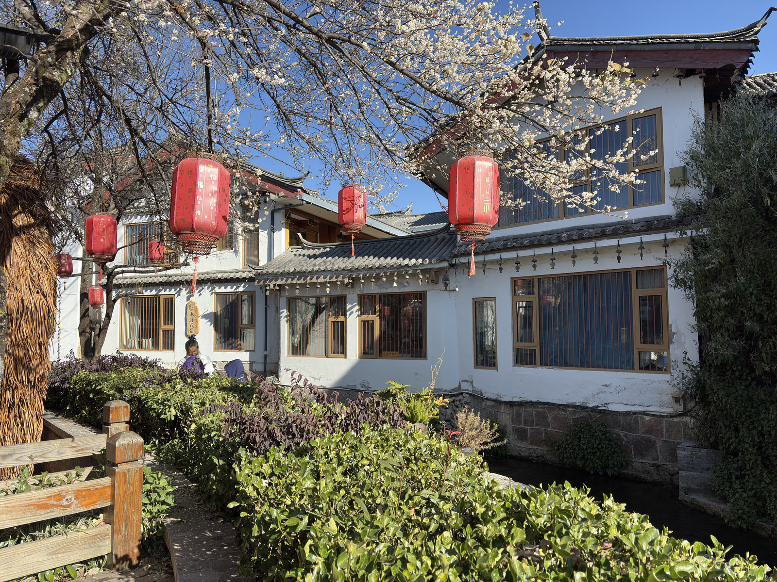 Picture China Lijiang 2026-01 673 - Tourist Places Lijiang