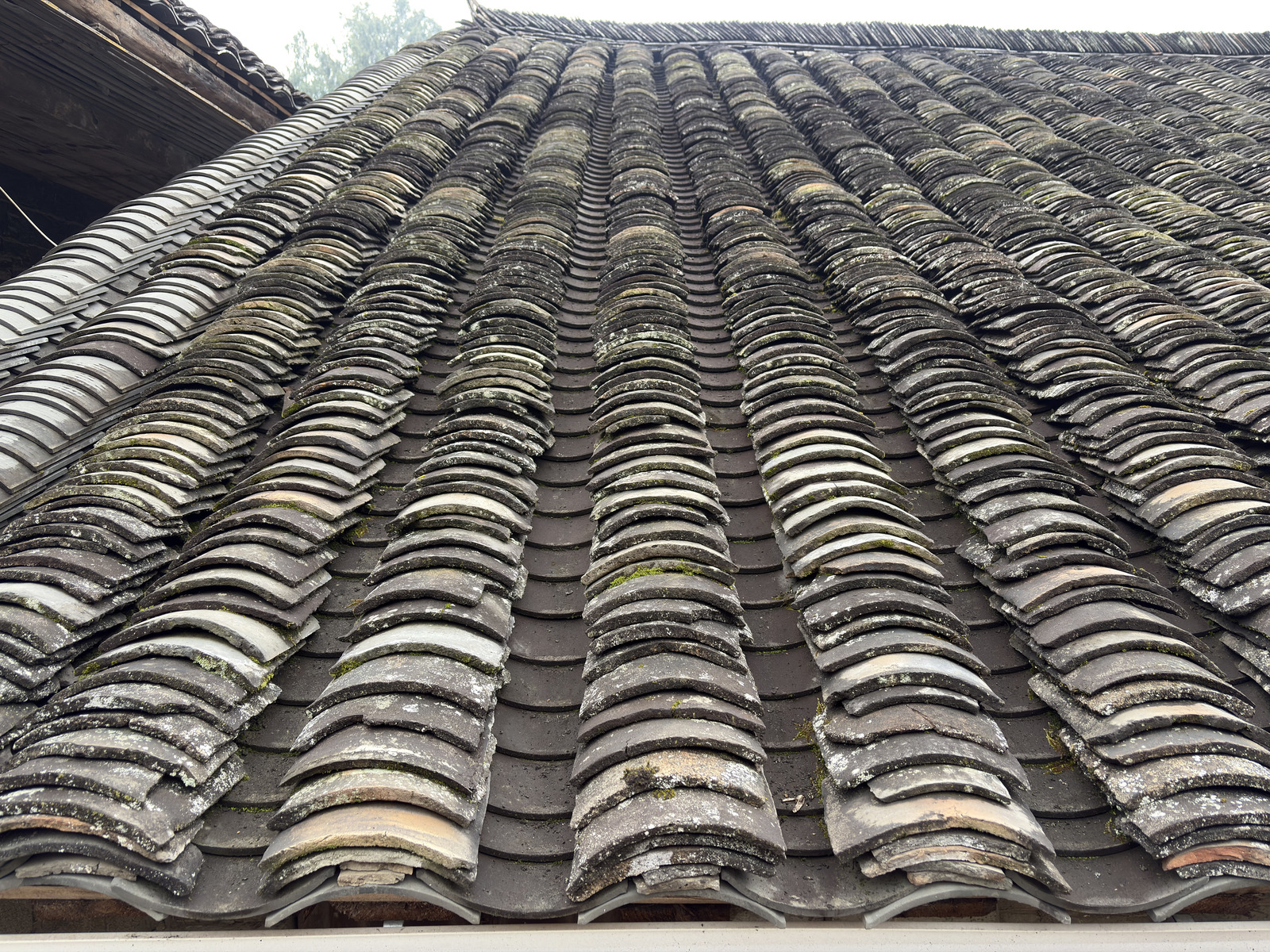 Picture China Furong Ancient Town 2026-01 102 - Views Furong Ancient Town