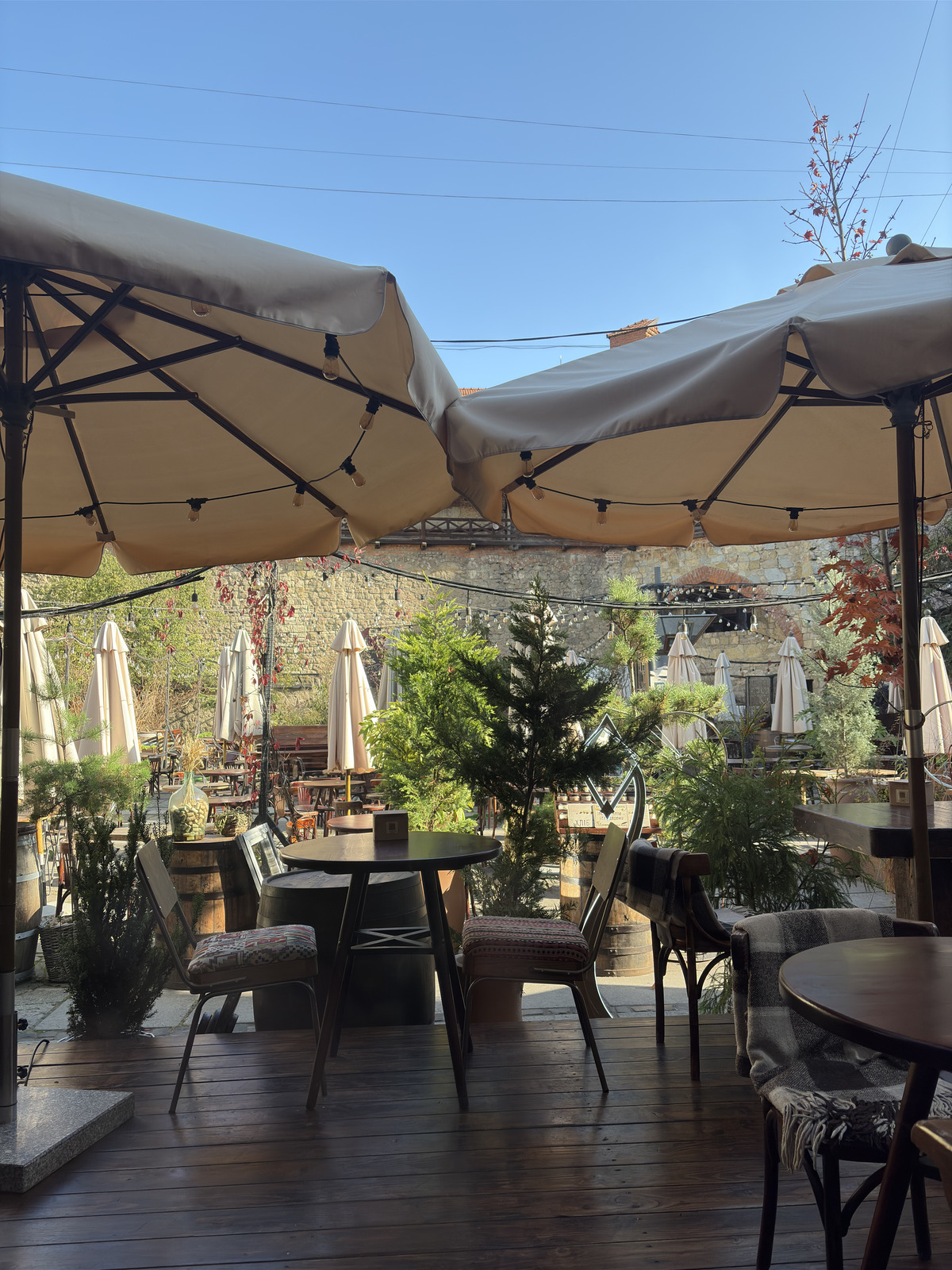 Picture Ukraine Lviv Restaurants 2024-10 142 - Tourist Restaurants