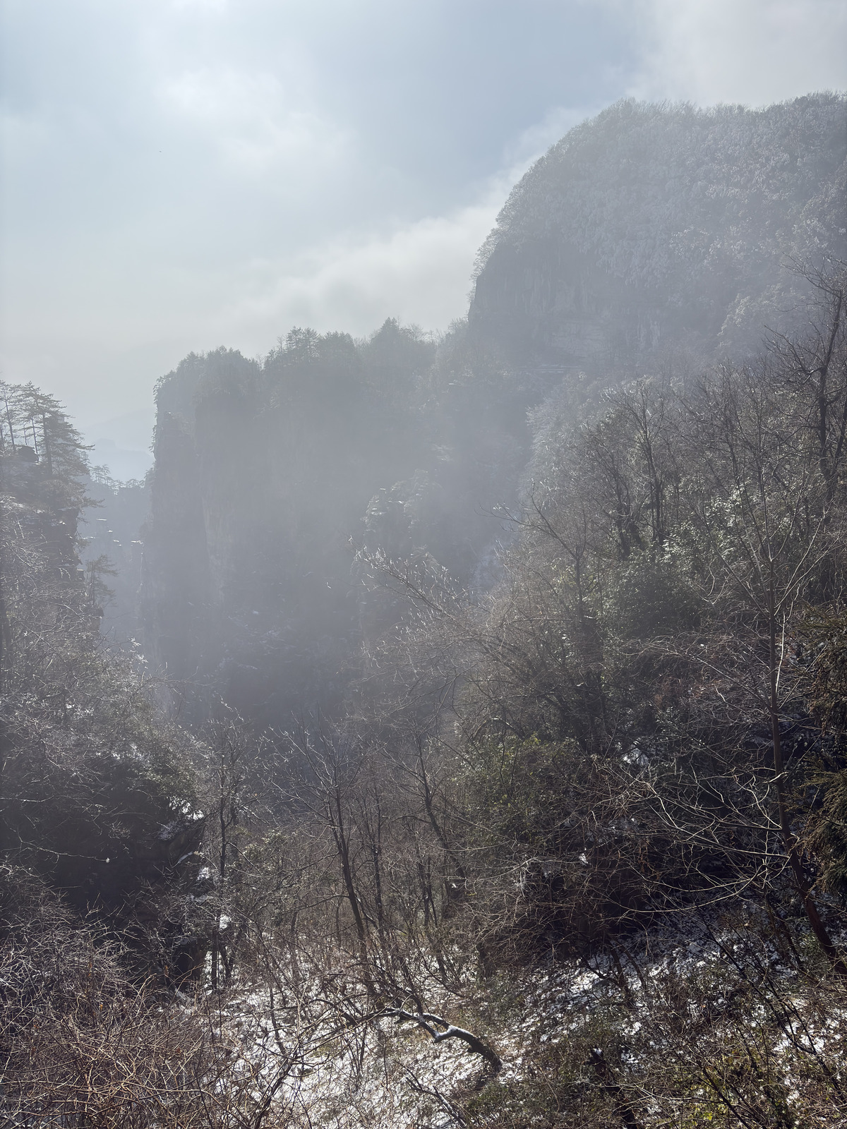 Picture China Zhangjiajie Tianzi Mountrain 2026-01 196 - Views Tianzi Mountrain