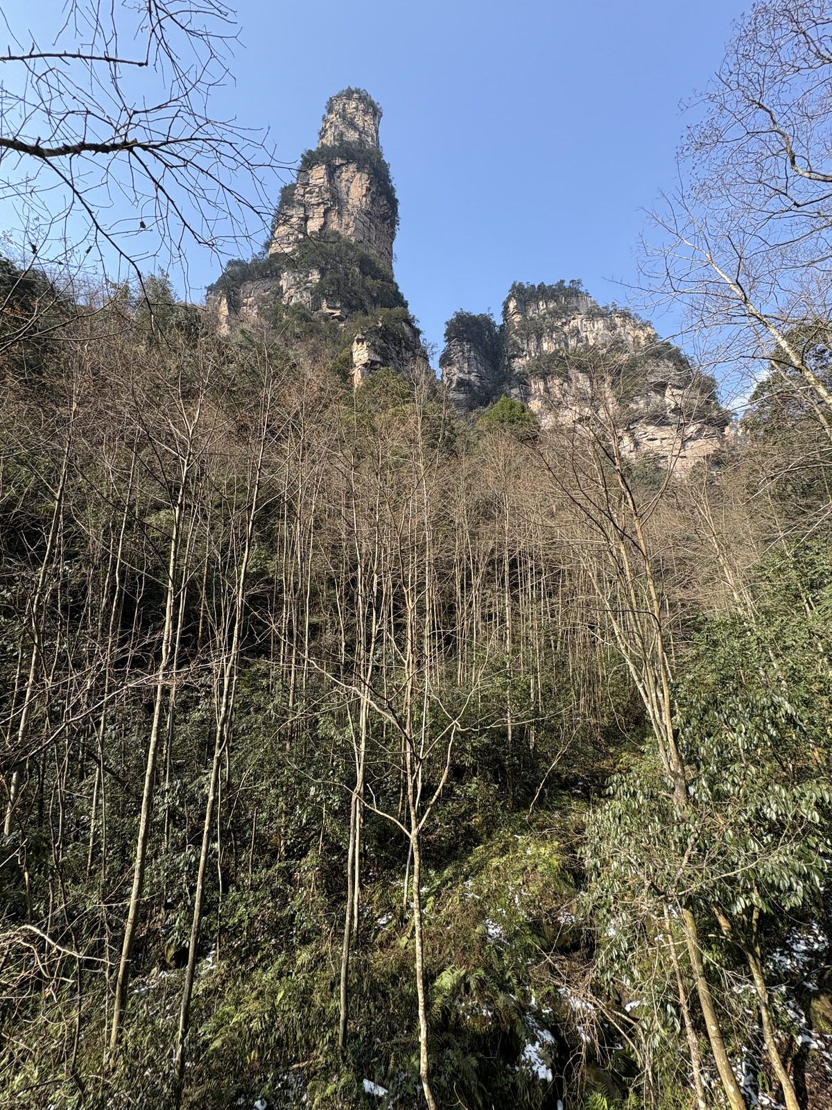 Picture China Zhangjiajie Tianzi Mountrain 2026-01 304 - Tourist Tianzi Mountrain