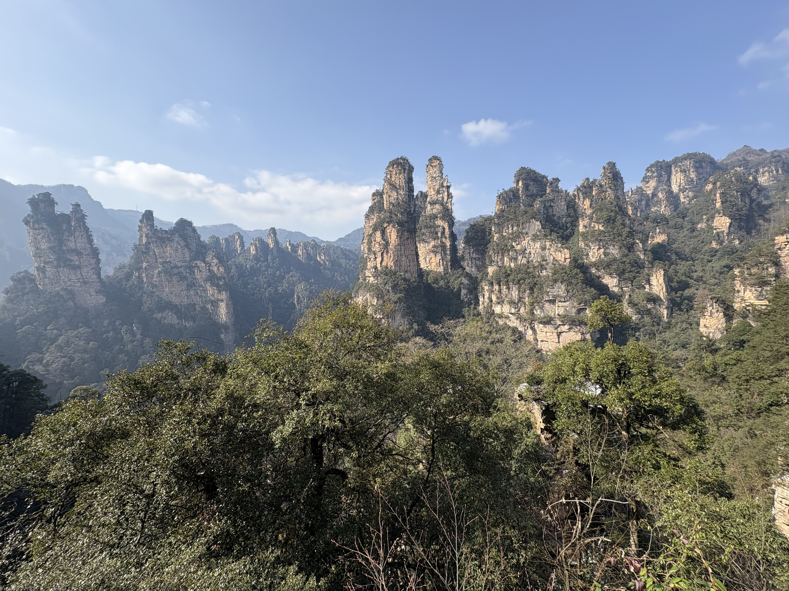 Picture China Zhangjiajie Tianzi Mountrain 2026-01 165 - Discover Tianzi Mountrain