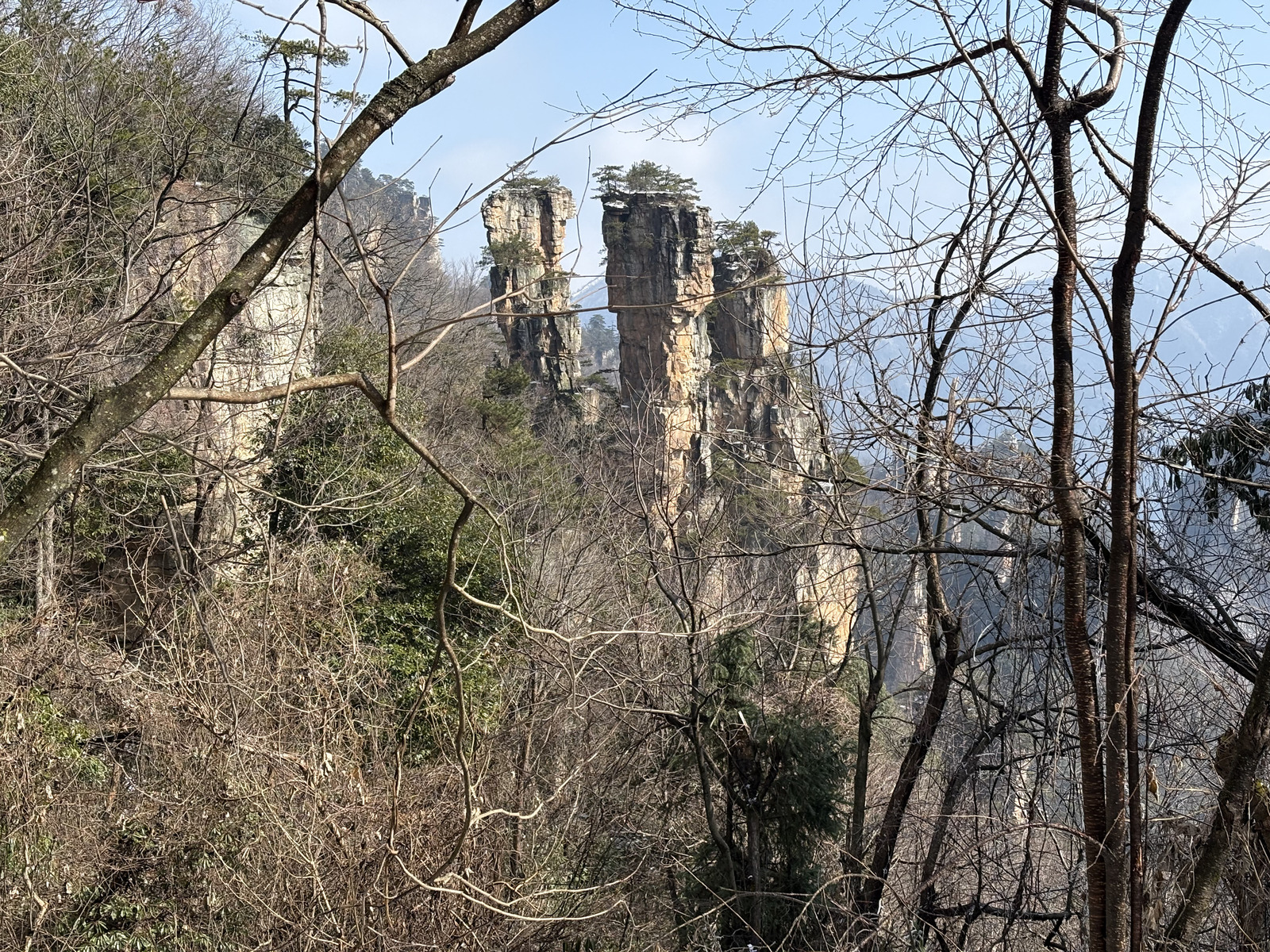 Picture China Zhangjiajie Tianzi Mountrain 2026-01 69 - Trip Tianzi Mountrain