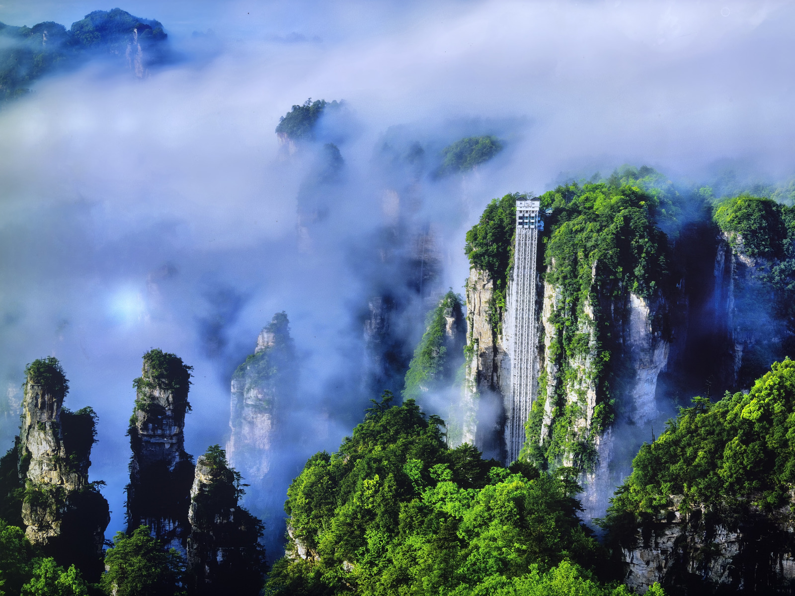 Picture China Zhangjiajie 2026-01 285 - Photographer Zhangjiajie