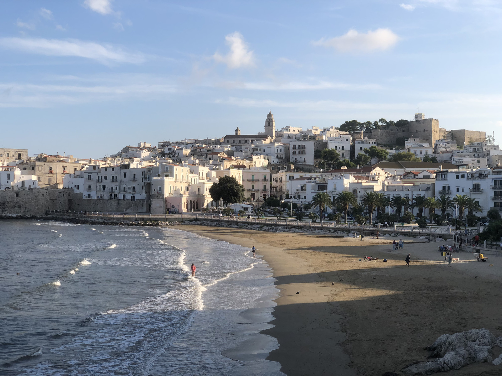 Picture Italy Vieste 2024-09 35 - Road Map Vieste