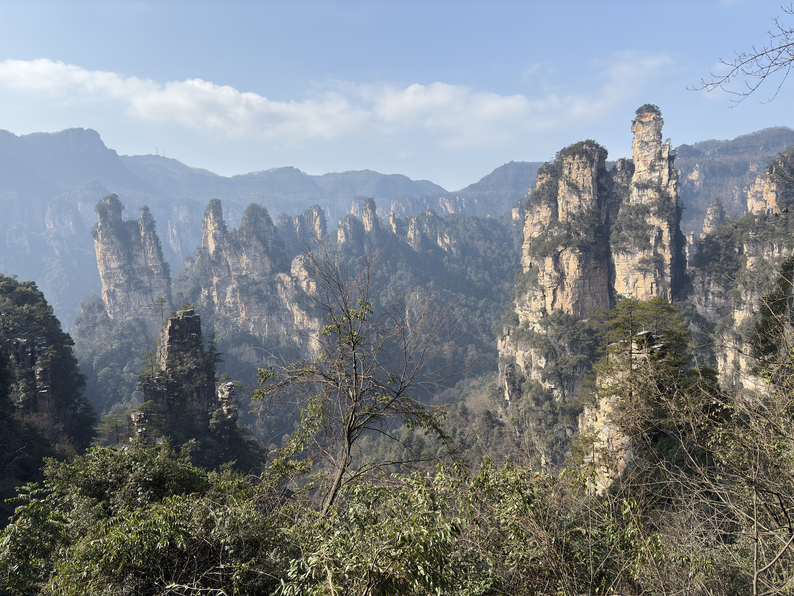 Picture China Zhangjiajie Tianzi Mountrain 2026-01 351 - Randonee Tianzi Mountrain