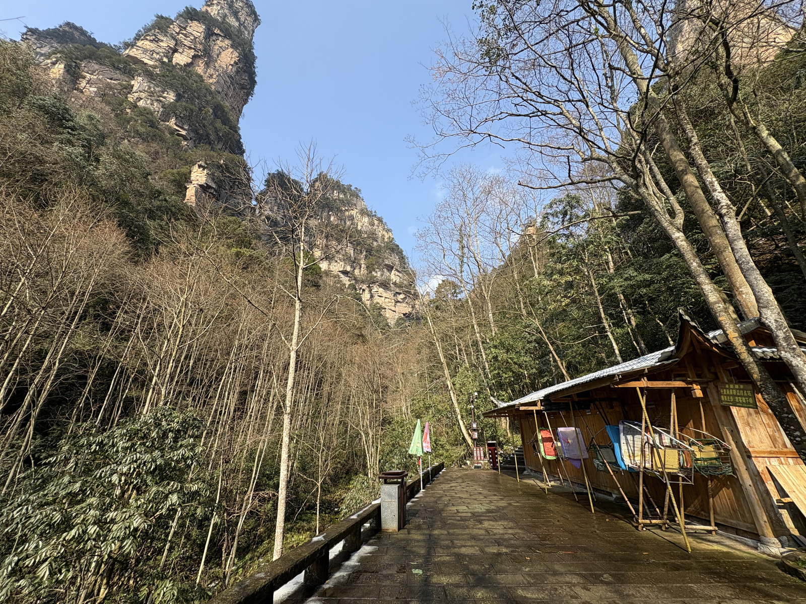 Picture China Zhangjiajie Tianzi Mountrain 2026-01 218 - Road Tianzi Mountrain