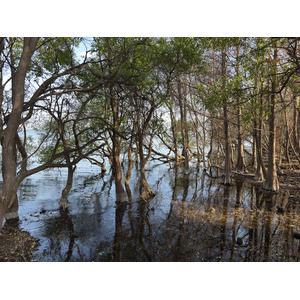 Picture China Dali Zhouchengcun 2026-01 5 - Discover Zhouchengcun
