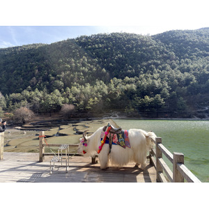 Picture China Lijiang Blue moon valley 2026-01 67 - Shopping Mall Blue moon valley
