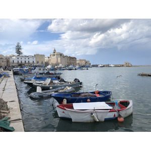 Picture Italy Trani 2024-09 105 - Randonee Trani