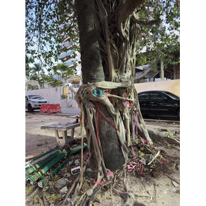 Picture Thailand Pattaya Dongtan beach 2025-12 20 - Views Dongtan beach