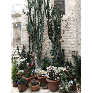 Picture Italy Polignano a mare 2024-09 24 - Discover Polignano a mare