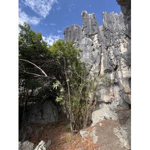 Picture China Shilin Stone Forest 2026-01 199 - Pictures Shilin Stone Forest