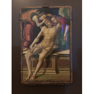 Picture Italy Urbino 2024-09 117 - Trips Urbino