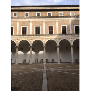Picture Italy Urbino 2024-09 364 - Picture Urbino