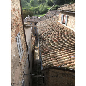 Picture Italy Urbino 2024-09 90 - Sight Urbino