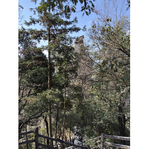 Picture China Zhangjiajie Tianzi Mountrain 2026-01 153 - Sight Tianzi Mountrain