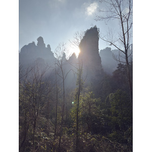 Picture China Zhangjiajie Tianzi Mountrain 2026-01 273 - Pictures Tianzi Mountrain
