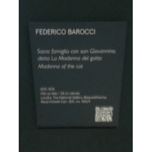 Picture Italy Urbino 2024-09 458 - Travels Urbino