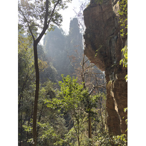 Picture China Zhangjiajie Tianzi Mountrain 2026-01 117 - Photo Tianzi Mountrain