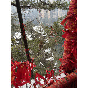 Picture China Zhangjiajie 2026-01 236 - Sightseeing Zhangjiajie