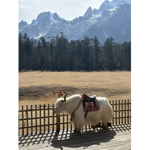Picture China Lijiang Blue moon valley 2026-01 132 - Store Blue moon valley