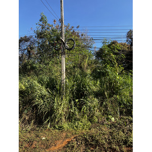 Picture Thailand Ban Wana Luang 2024-01 22 - Views Ban Wana Luang