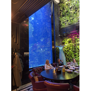 Picture Ukraine Lviv Restaurants 2024-10 110 - Discover Restaurants
