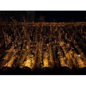 Picture China Dali Mushan Leye Resort Hotel 2026-01 23 - Travels Mushan Leye Resort Hotel