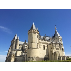 Picture France Montsoreau Castle 2017-08 8