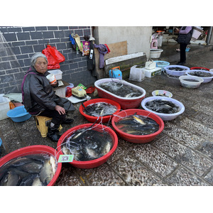 Picture China Lijiang 2026-01 363 - Trips Lijiang