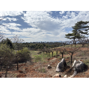 Picture China Shilin Stone Forest 2026-01 106 - Tourist Attraction Shilin Stone Forest