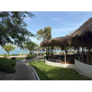 Picture Thailand Pattaya Oxygen Restaurant 2024-12 65 - Trips Oxygen Restaurant