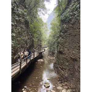Picture China Zhangjiajie Grand Canion 2026-01 73 - Photographer Grand Canion